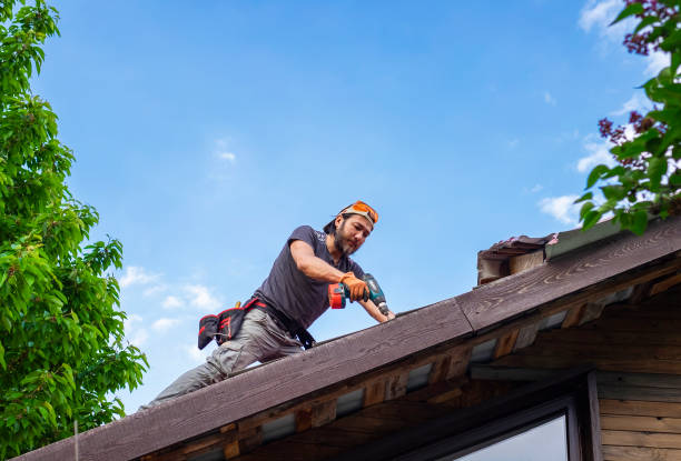 Roof Coating Services in Laurel, MS